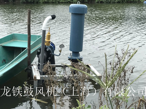 龍鐵沉水式鼓風(fēng)機(jī)多少錢？.jpg