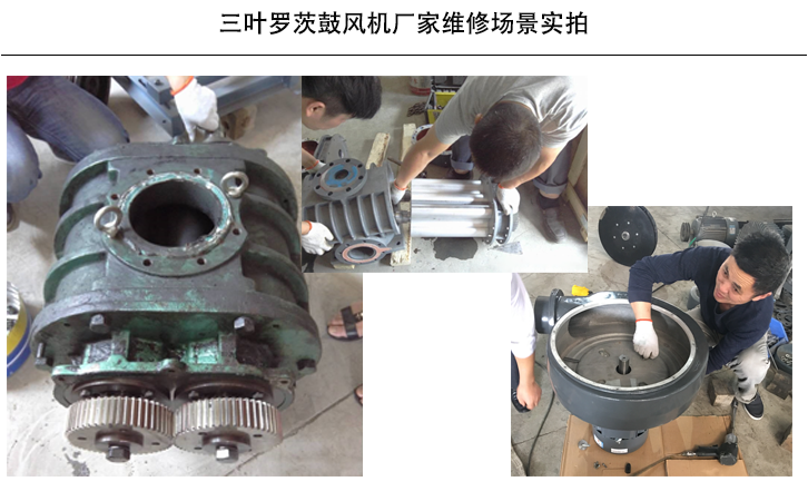三葉羅茨鼓風(fēng)機(jī)維修場(chǎng)景